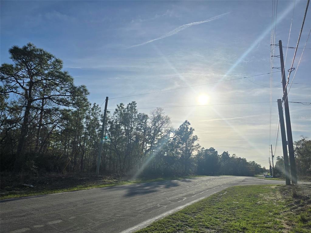 A paved road runs alongside a wooded area under a bright, sunny sky — 13070 QUIGLEY AVENUE, WEEKI WACHEE, FL