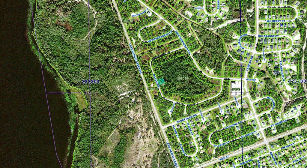 This is an aerial map showing a residential neighborhood adjacent to a large lake — 1554 MARLIN DRIVE, KISSIMMEE, FL