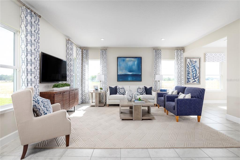 A living room features a white sofa, two striped armchairs, a television, and patterned curtains — 2441 WHITE LADYFISH ROAD, WIMAUMA, FL