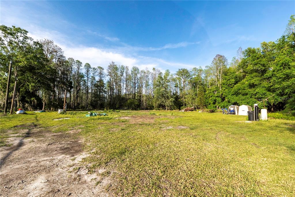 A large, grassy, undeveloped lot is bordered by a dense line of tall trees — 4436 JOY DRIVE, LAND O LAKES, FL