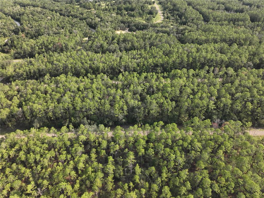An aerial view shows a dense forest with a dirt road running through the trees — 598 E MARQUETTE LANE, DUNNELLON, FL