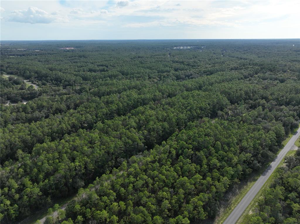 An aerial view shows a paved road bordering a large, dense forest of pine trees — 598 E MARQUETTE LANE, DUNNELLON, FL
