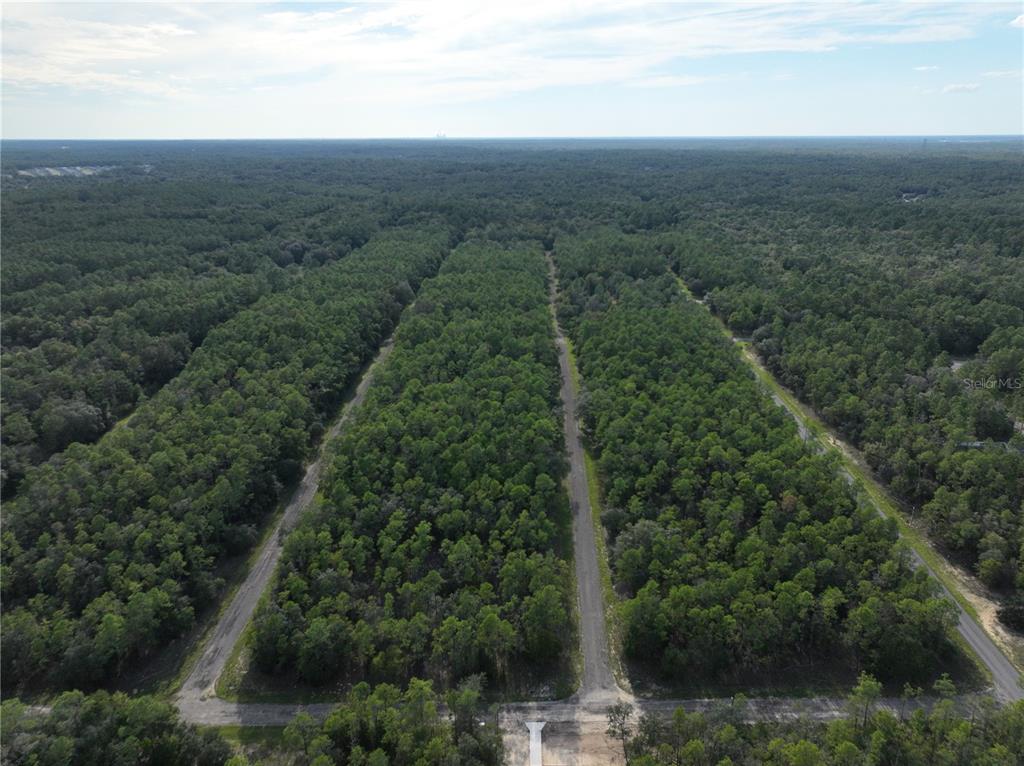 An aerial view shows several undeveloped, wooded lots separated by dirt roads — 598 E MARQUETTE LANE, DUNNELLON, FL