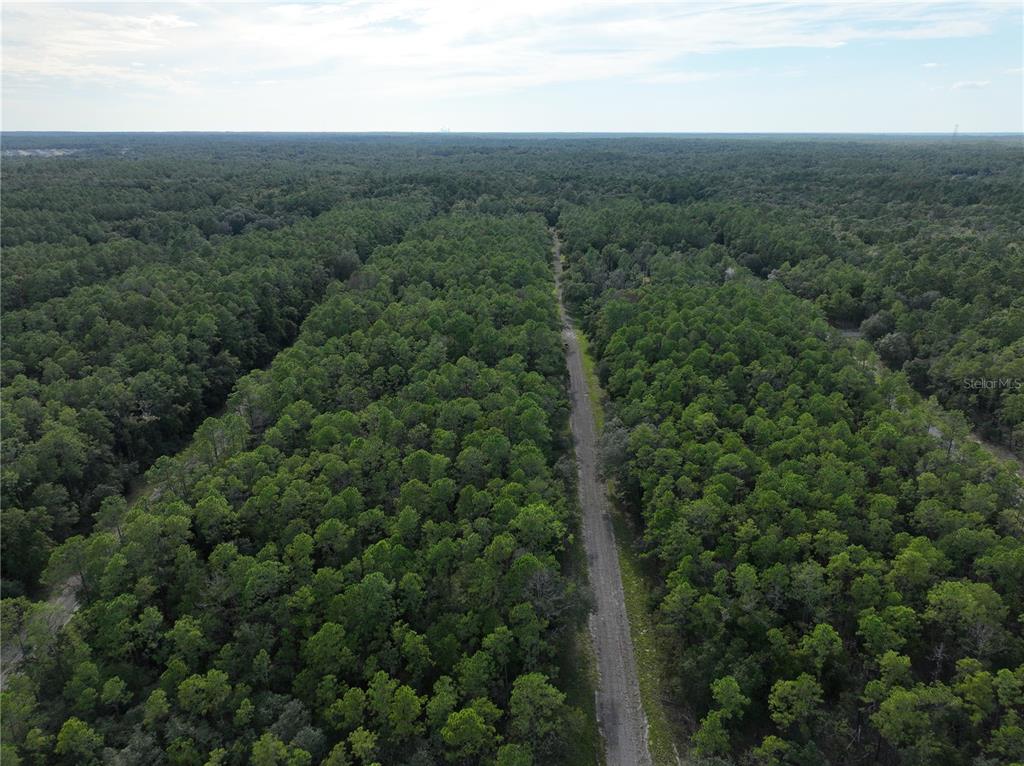 An aerial view shows a narrow dirt road cutting through a dense, green pine forest — 598 E MARQUETTE LANE, DUNNELLON, FL