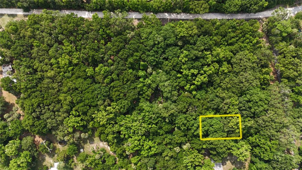 An aerial view shows a dense, wooded lot with a yellow rectangle highlighting a section — 2381 N JUNGLECAMP ROAD, INVERNESS, FL
