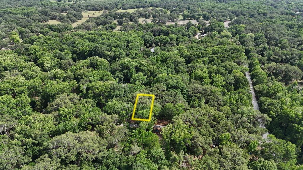 An aerial view shows a rectangular yellow outline marking a wooded plot of land — 2381 N JUNGLECAMP ROAD, INVERNESS, FL