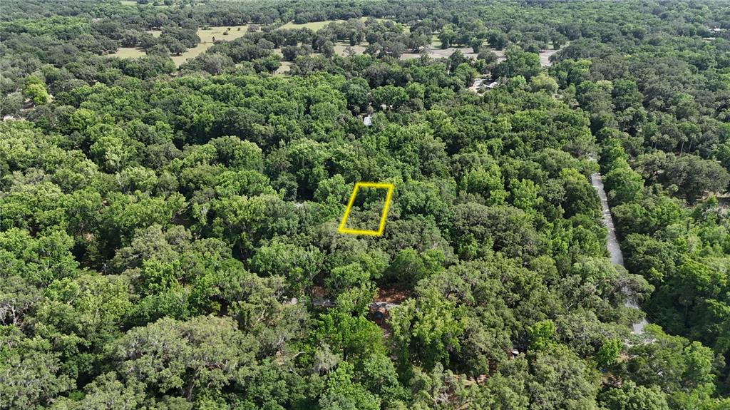 An aerial view shows a rectangular yellow outline marking a wooded plot of land — 2381 N JUNGLECAMP ROAD, INVERNESS, FL