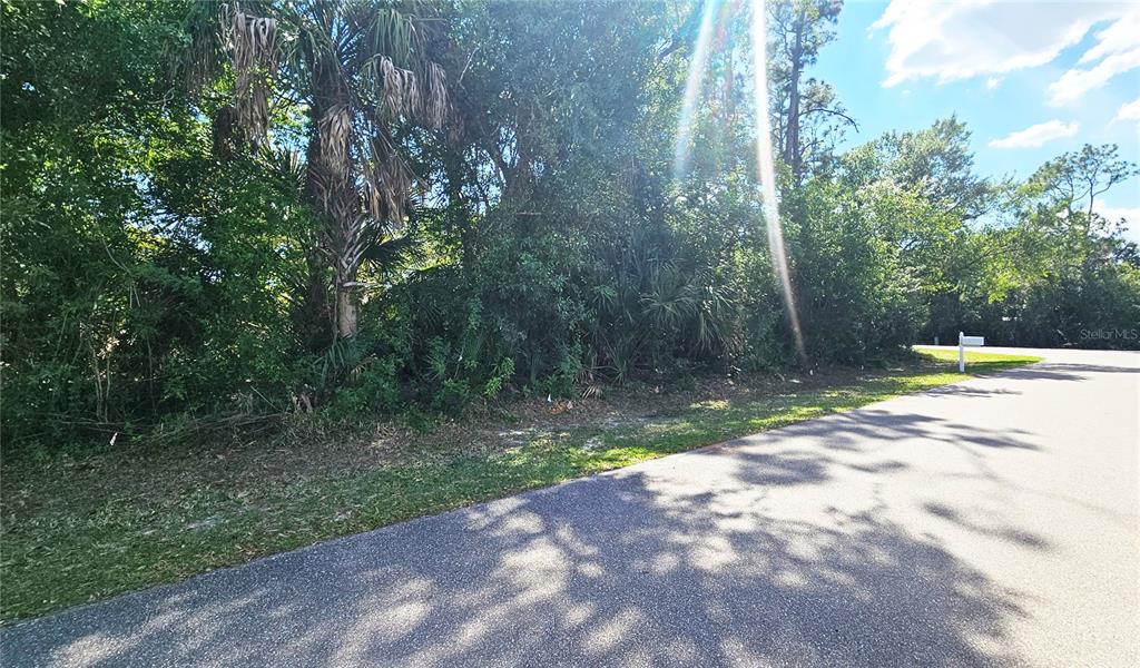 A paved road runs alongside a densely wooded, undeveloped residential lot — 23039 & 23047 AUGUST LOTS 24 & 25 AVENUE, PORT CHARLOTTE, FL