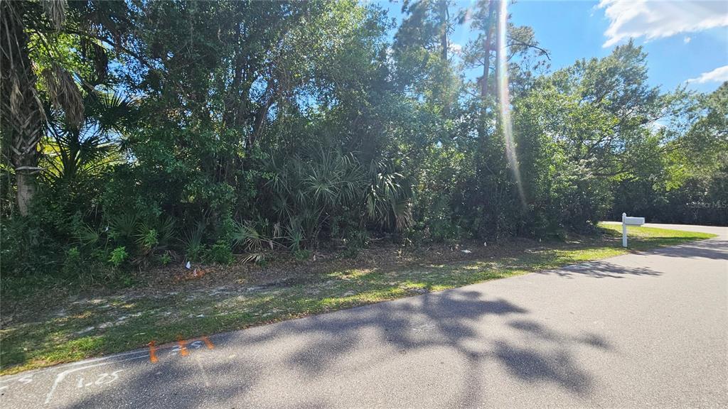 A wooded, undeveloped residential lot sits along a paved street with survey markings on the asphalt — 23039 & 23047 AUGUST LOTS 24 & 25 AVENUE, PORT CHARLOTTE, FL