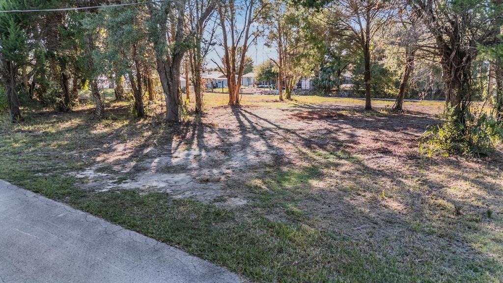 A grassy, partially wooded vacant lot sits adjacent to a paved road — 3924 N APALACHEE POINT, CRYSTAL RIVER, FL