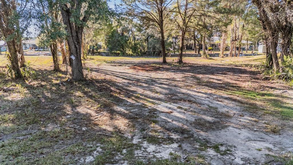 A wooded, sandy lot with scattered trees and a view of distant houses — 3924 N APALACHEE POINT, CRYSTAL RIVER, FL