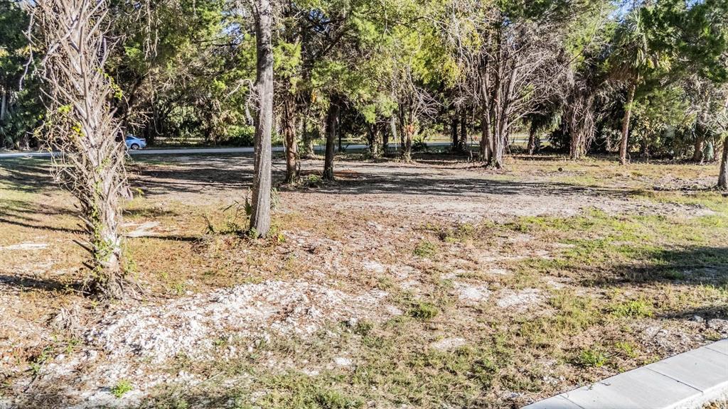 A vacant, partially wooded residential lot features sandy ground and a concrete sidewalk — 3924 N APALACHEE POINT, CRYSTAL RIVER, FL