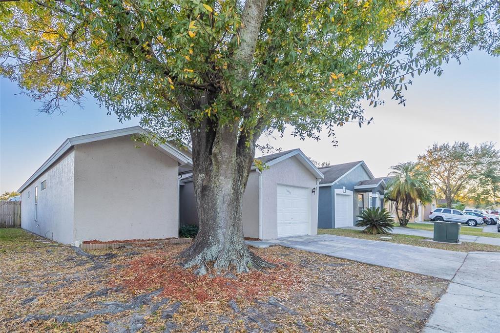 A large tree stands in the front yard of a single-story suburban house — 5436 WOOD CROSSING STREET, ORLANDO, FL
