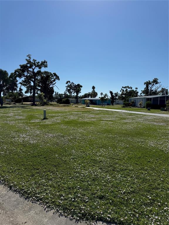A grassy vacant lot with scattered small white flowers and trees under a clear sky — 3303 DOVE LANE, ENGLEWOOD, FL