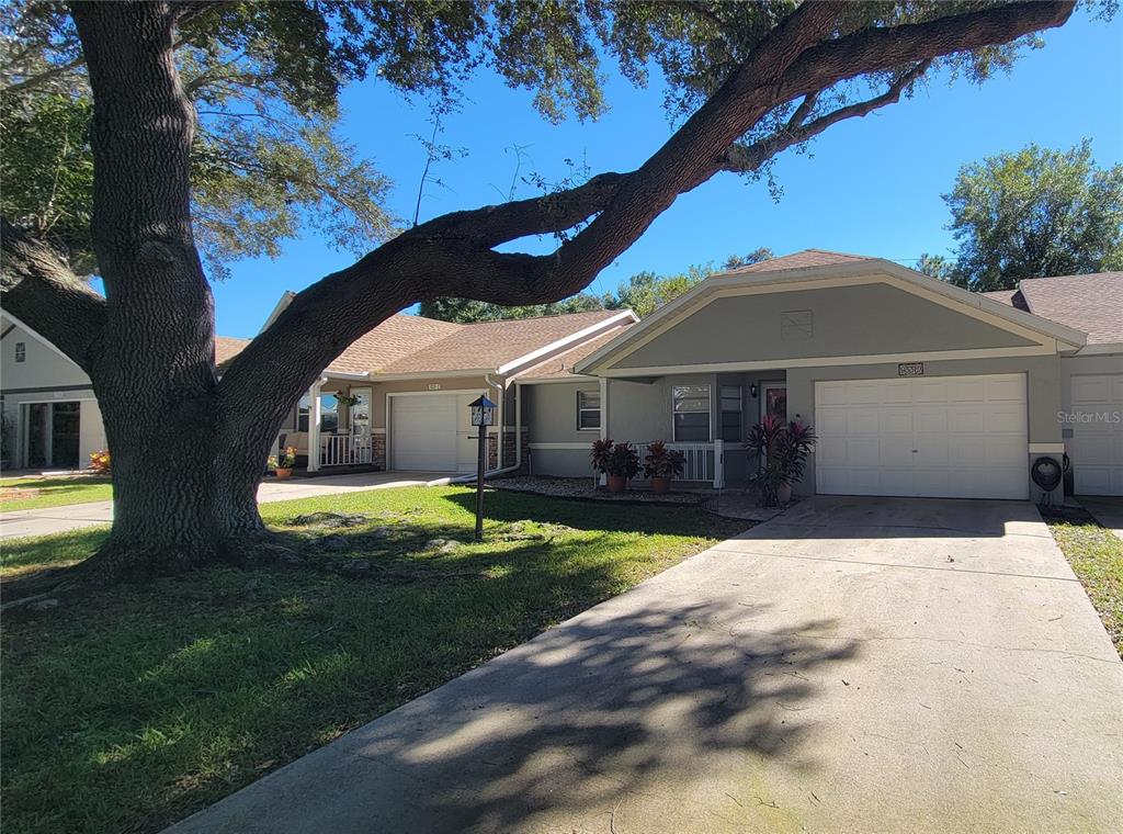 A large oak tree shades the front yards and driveways of two adjacent suburban houses — 9331 SW 84TH TERRACE UNIT D, OCALA, FL