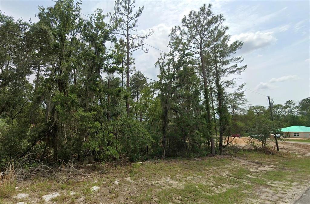A wooded, undeveloped residential lot with tall pine trees and a nearby house — 6820 SW 153RD PLACE ROAD, OCALA, FL