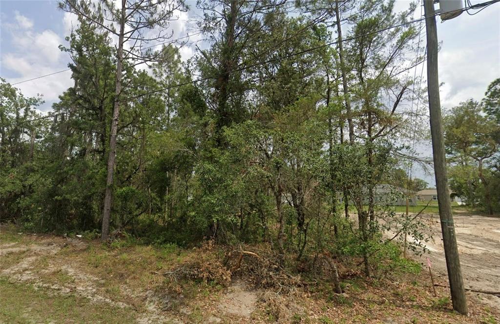 A wooded, undeveloped residential lot features tall pine trees and sandy ground under a cloudy sky — 6820 SW 153RD PLACE ROAD, OCALA, FL
