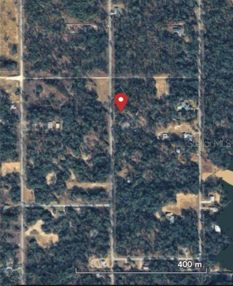 A paved road runs alongside a wooded lot with a utility pole and mailbox — SW 207TH COURT, DUNNELLON, FL