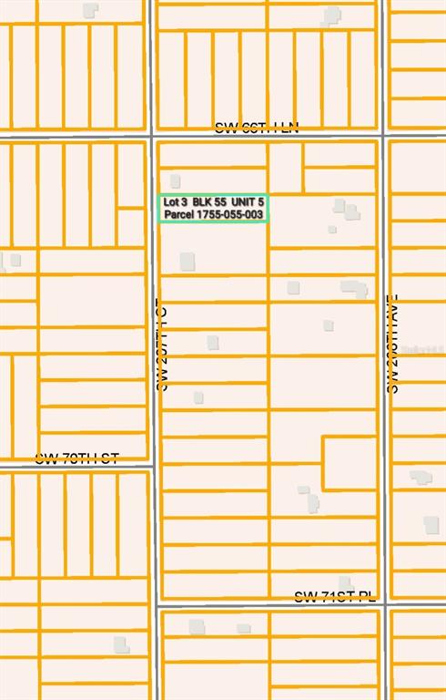 A vacant, wooded residential lot sits alongside an asphalt road with utility lines overhead — SW 207TH COURT, DUNNELLON, FL