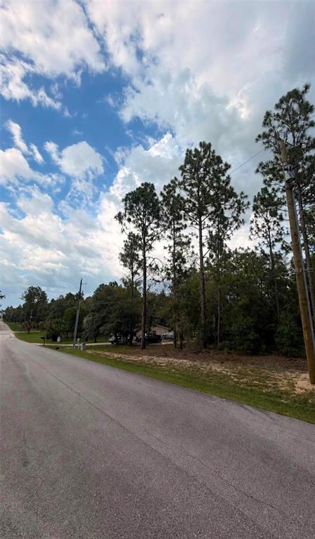 A paved road runs alongside a grassy lot with tall pine trees under a cloudy sky — SW 207TH COURT, DUNNELLON, FL
