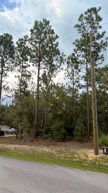 A wooded lot sits along a paved road with a utility pole in the foreground — SW 207TH COURT, DUNNELLON, FL
