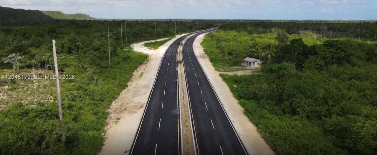 An aerial view shows a newly paved two-lane road cutting through a dense, green forest — bavaro veron, FL