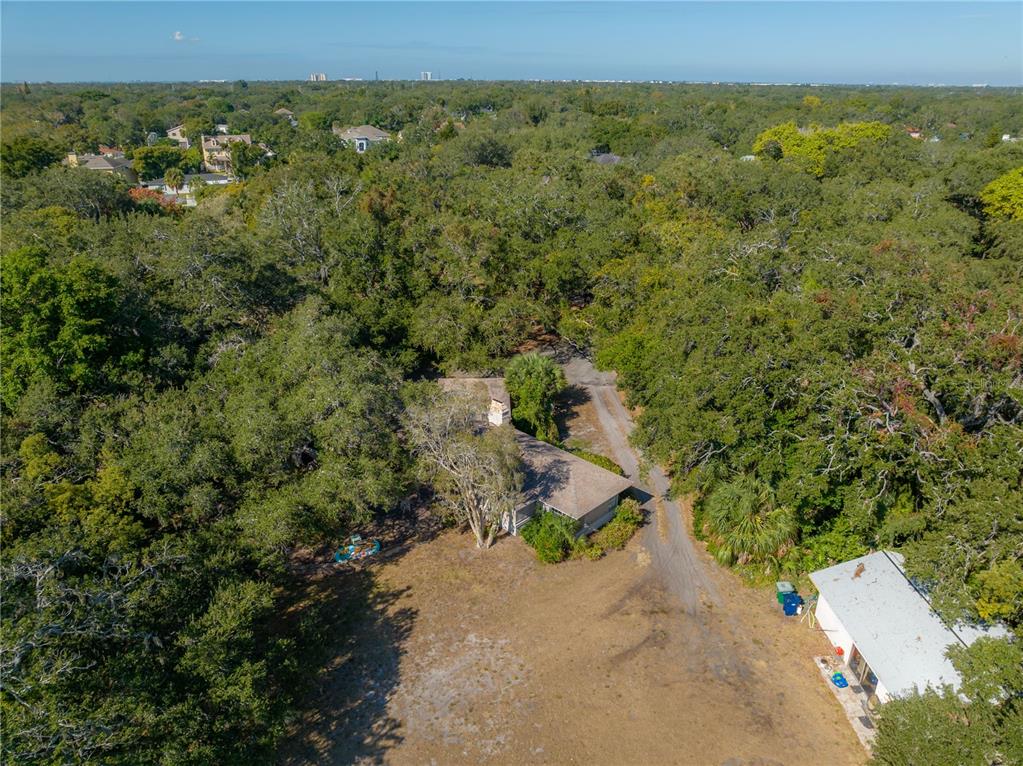An aerial view shows a house nestled in a wooded lot with a dirt driveway — 6210 BAYSHORE BOULEVARD, TAMPA, FL