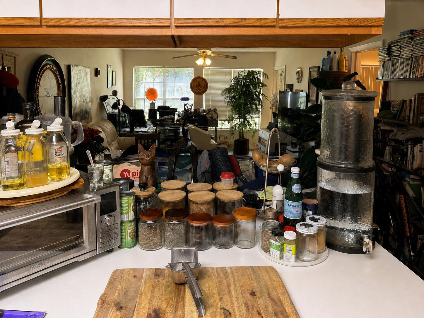 A kitchen counter with various jars, a water filter, and a toaster oven faces a living area — 6323 La Costa Drive # B, Boca Raton FL 33433, BOCA RATON, FL