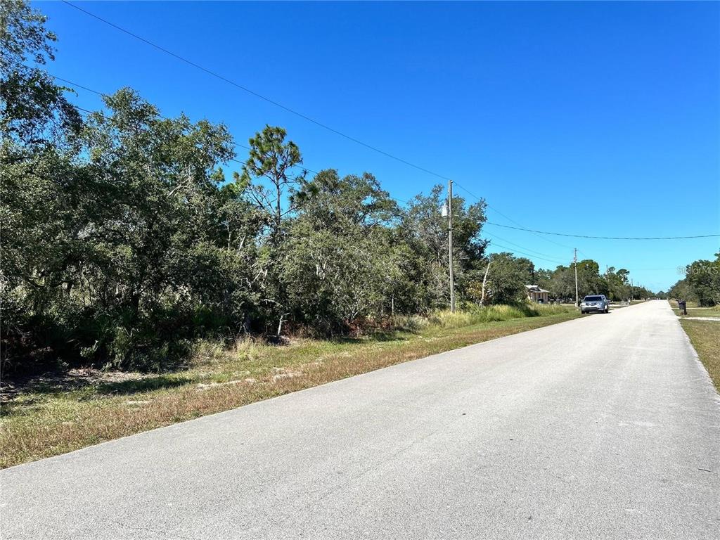 An asphalt road runs alongside a wooded lot under a clear blue sky — WOODSTORK WAY, FROSTPROOF, FL