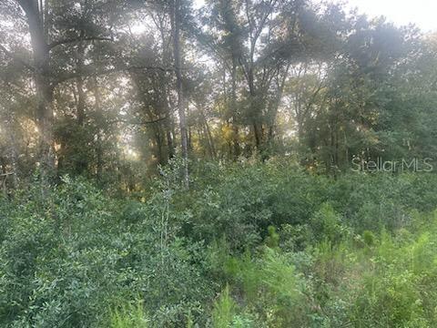 Lots 2 & 3 SW 156 AVENUE