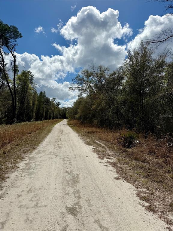 A dirt road stretches through a wooded area under a bright, cloudy blue sky — TBD NE 110TH COURT, FORT MC COY, FL