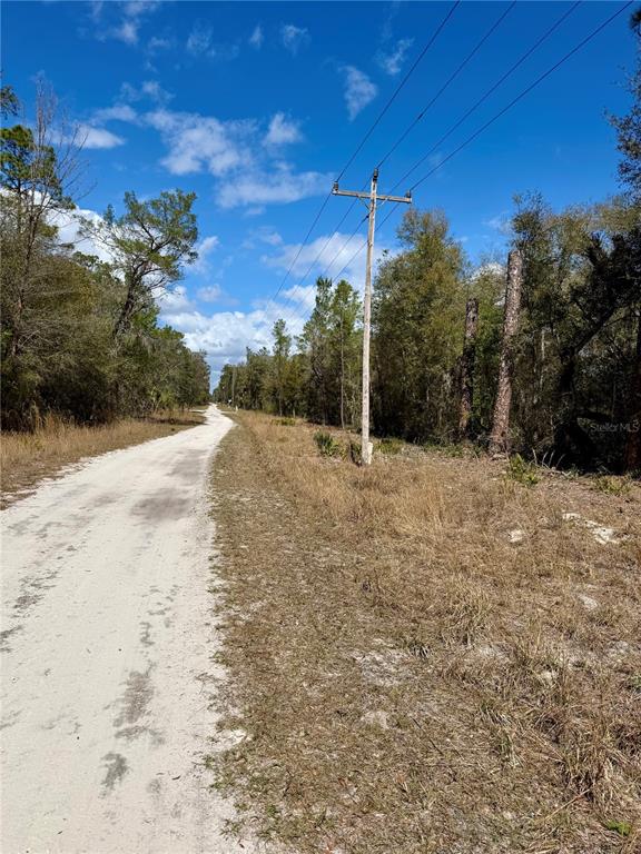 A dirt road runs alongside a utility pole and a wooded area under a blue sky — TBD NE 110TH COURT, FORT MC COY, FL