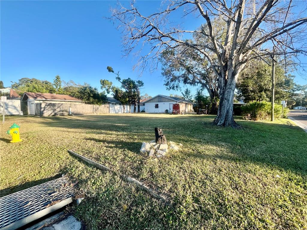 A grassy vacant lot features a large tree, a fire hydrant, and a small building — W SPRUCE STREET, TARPON SPRINGS, FL