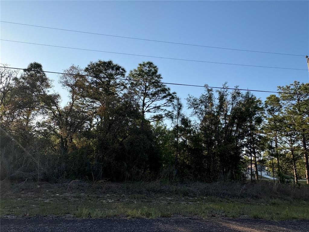 A view of a wooded lot from a paved road under a clear blue sky — 9172 N MARCUS WAY, CITRUS SPRINGS, FL