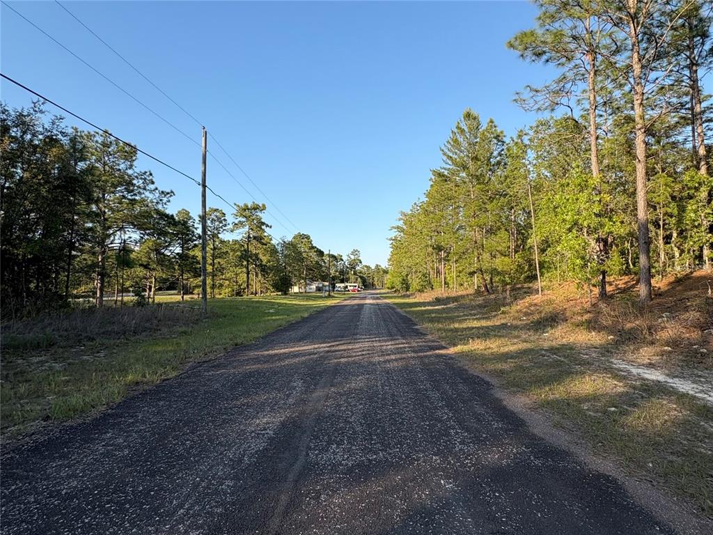 A paved road stretches through a wooded area under a clear blue sky — 9172 N MARCUS WAY, CITRUS SPRINGS, FL