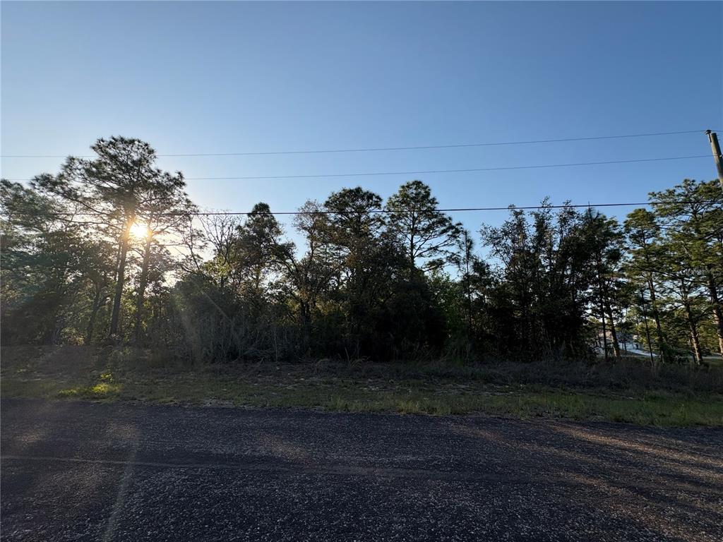 A paved road runs in front of a wooded lot under a clear blue sky — 9172 N MARCUS WAY, CITRUS SPRINGS, FL