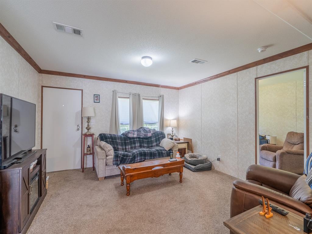 A living room features beige carpet, wood-paneled walls, a television console, and a plaid sofa — 14668 NE 204TH PLACE, FORT MC COY, FL