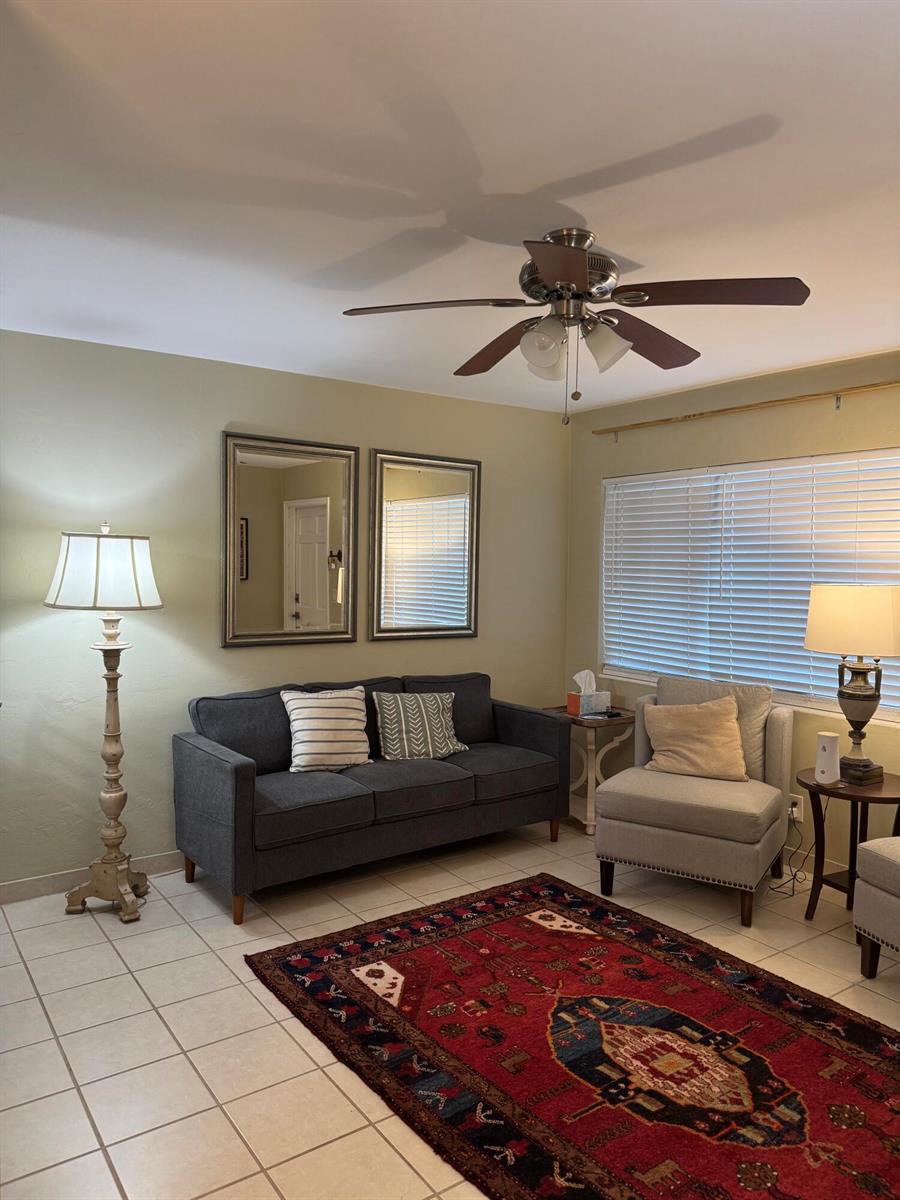 A living room features a dark sofa, a light armchair, a red rug, and mirrors — 3362 Cynthia Lane # 107, FL 33461, FL