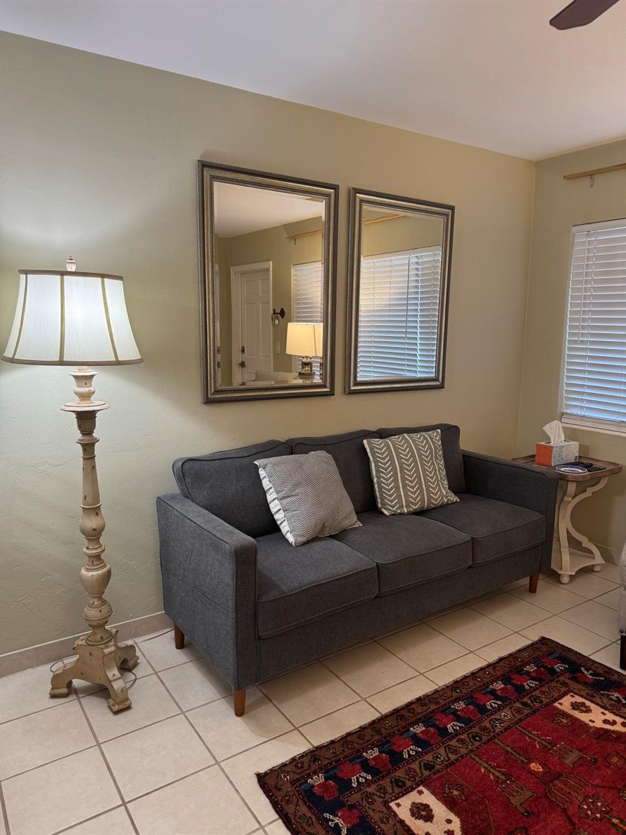 A living room features a gray sofa, two wall mirrors, a floor lamp, and a rug — 3362 Cynthia Lane # 107, FL 33461, FL