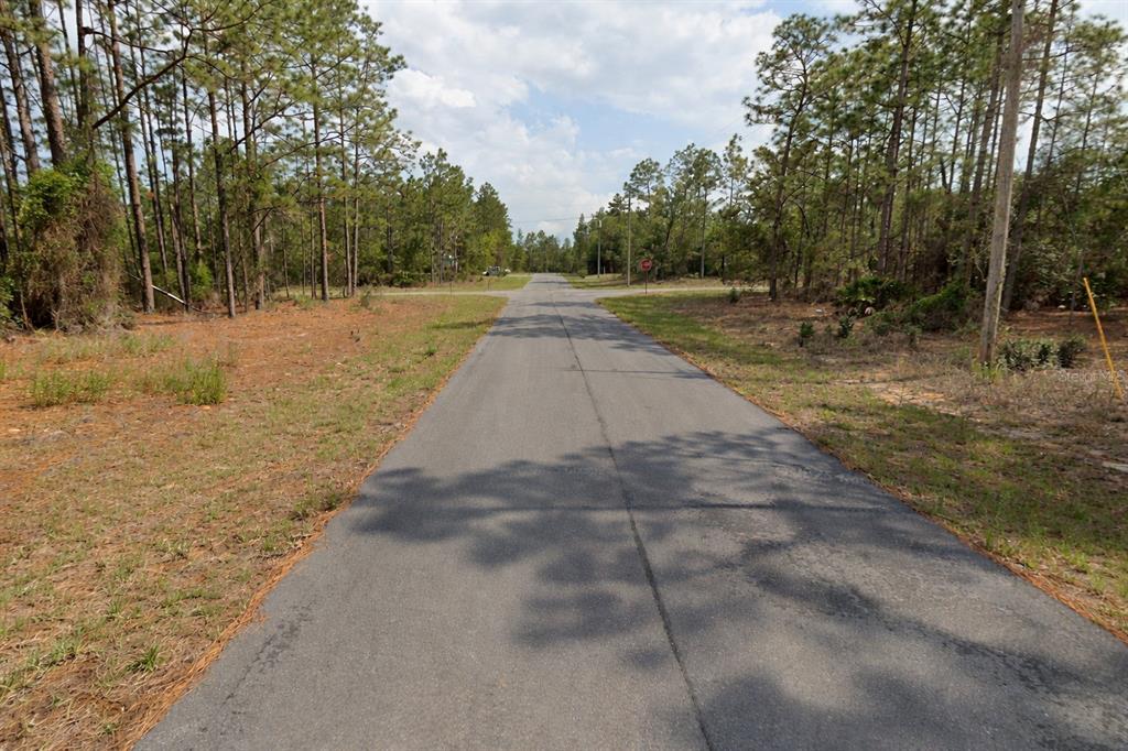A paved road stretches forward through a wooded area toward a distant stop sign — 11033 N TRIGGER TERRACE, CITRUS SPRINGS, FL
