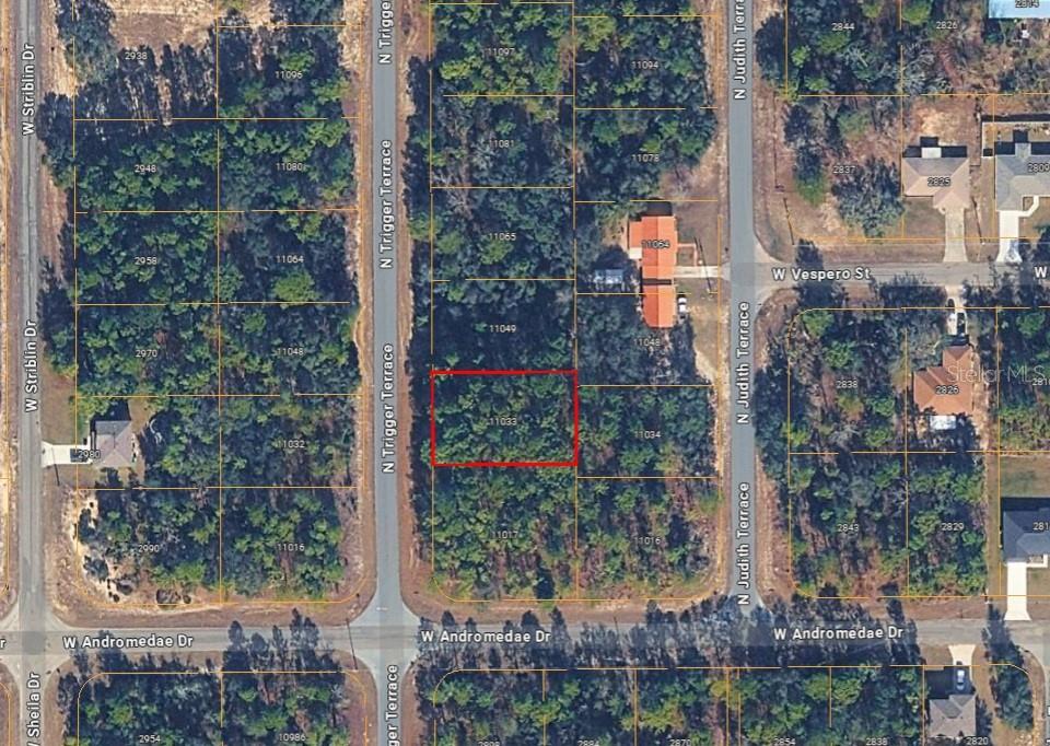 An aerial map view shows a rectangular vacant lot outlined in red among wooded parcels — 11033 N TRIGGER TERRACE, CITRUS SPRINGS, FL