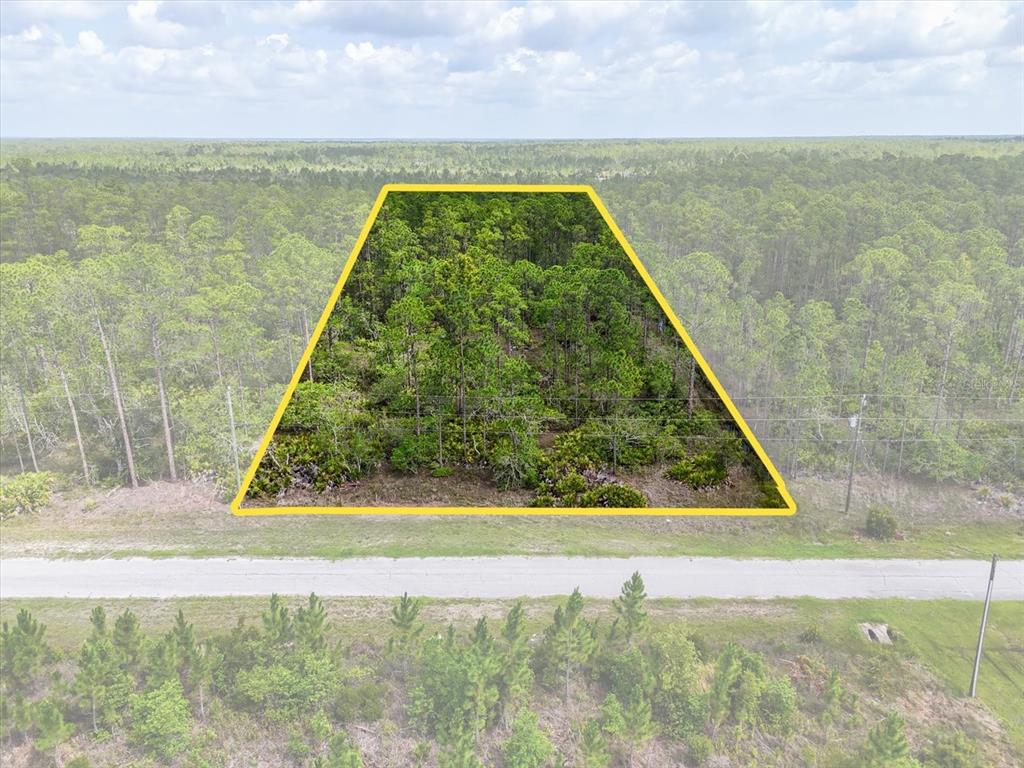 An aerial view shows a trapezoidal plot of wooded land bordering a paved road — LOT 61 MEADOW LARK BOULEVARD, LAKE WALES, FL