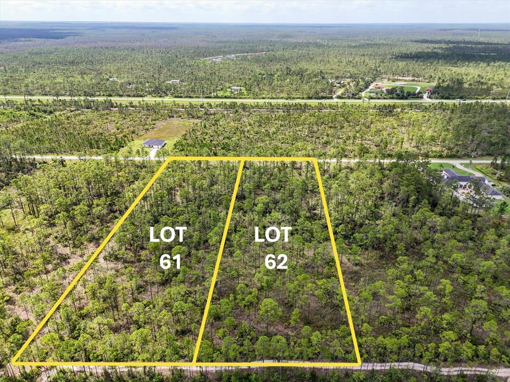 An aerial view shows two adjacent, undeveloped wooded lots marked 61 and 62 — LOT 61 MEADOW LARK BOULEVARD, LAKE WALES, FL