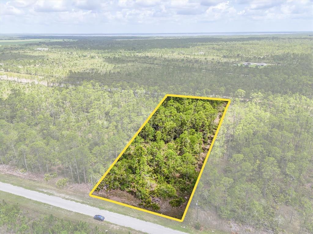 An aerial view shows a rectangular plot of wooded land outlined in yellow beside a road — LOT 61 MEADOW LARK BOULEVARD, LAKE WALES, FL