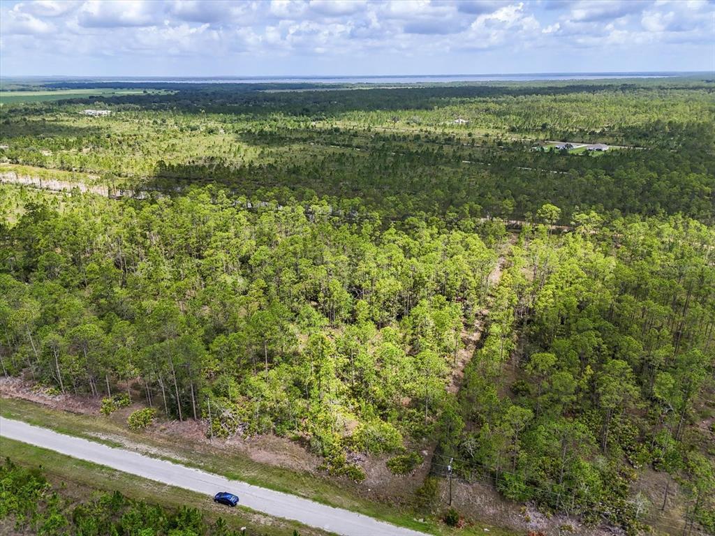 An aerial view shows a dirt road bordering a dense forest with a distant horizon — LOT 61 MEADOW LARK BOULEVARD, LAKE WALES, FL