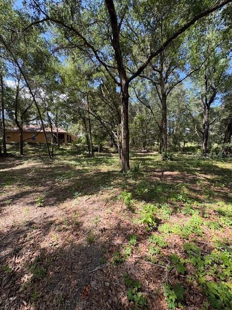 A view of a wooded lot with a house visible in the background — 9273 SW 197TH CIR, DUNNELLON, FL