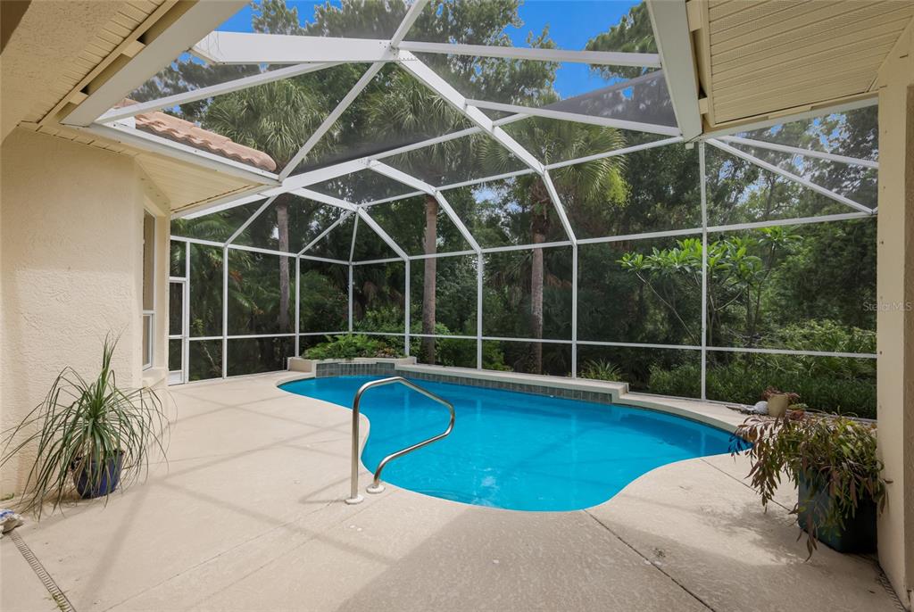 A screened-in patio features a kidney-shaped swimming pool and a view of lush trees — 8005 WATERVIEW BOULEVARD, LAKEWOOD RANCH, FL