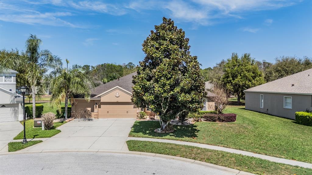 19101 LONE CREEK COURT