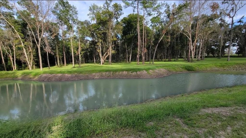 A small pond sits in front of a grassy area lined with tall trees — 16545 NW 128TH TERRACE, REDDICK, FL