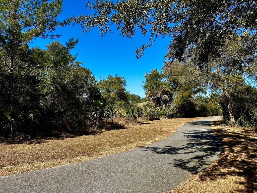 A paved walking path winds through a wooded area with dry grass and mature trees — 29 FIELDSTONE LANE, PALM COAST, FL